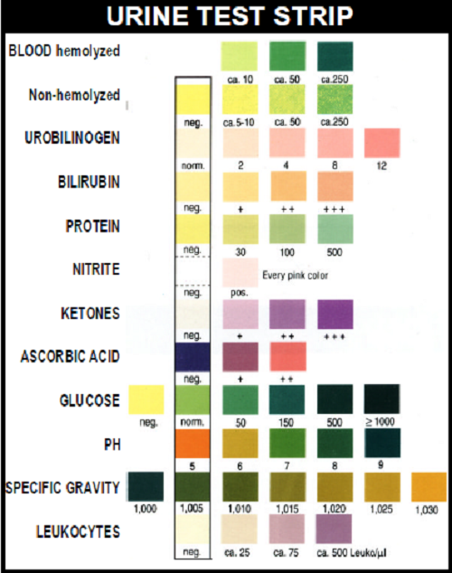Urinalysis Test Color Chart