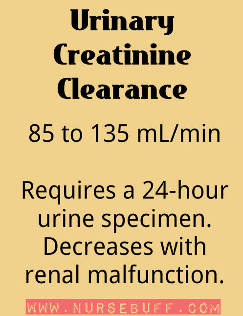 What is a healthy range of protein in urine?