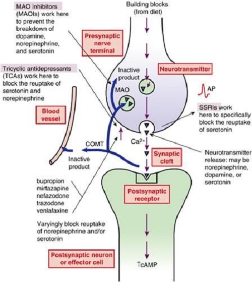 paxil withdrawal brain shocks