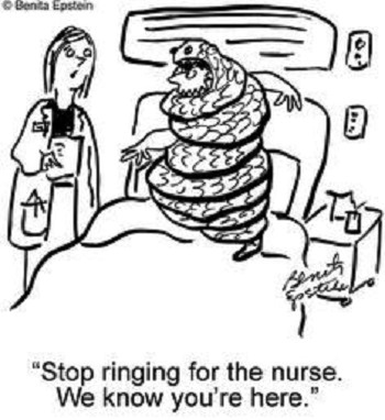 best nurse cartoons