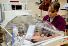 pros and cons of neonatal nursing
