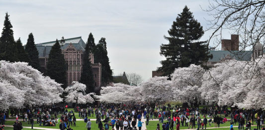 best nursing schools in washington