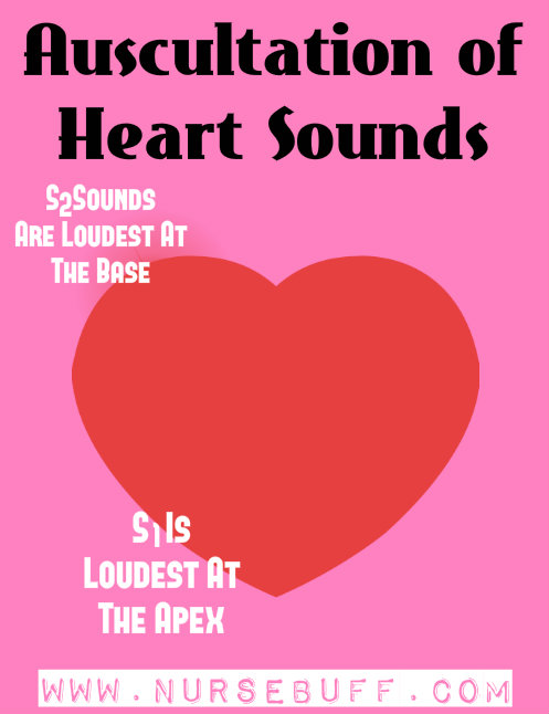heart sounds nursing mnemonics