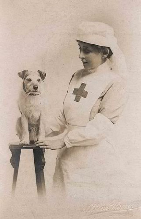 WWI nurse posing with a dog