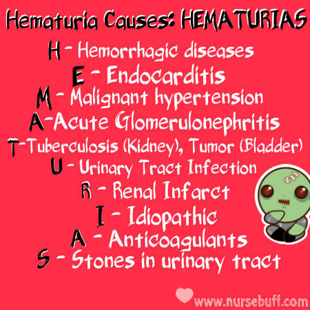 hematuria causes nursing acronym