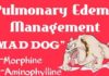 nursing mnemonics and acronyms