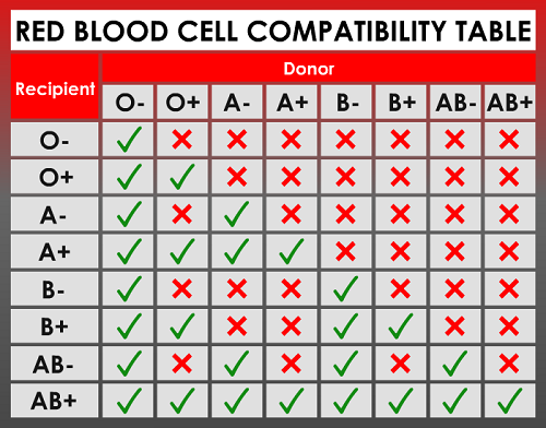 red blood cell compatibility table