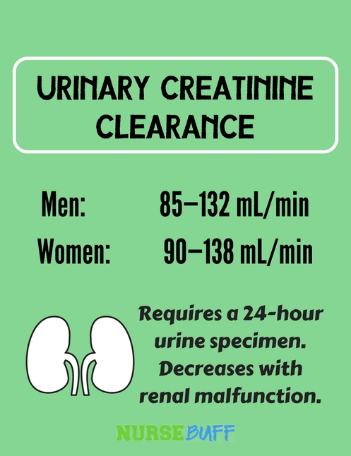 urinary creatinine laboratory values