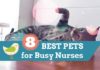 pets for nurses