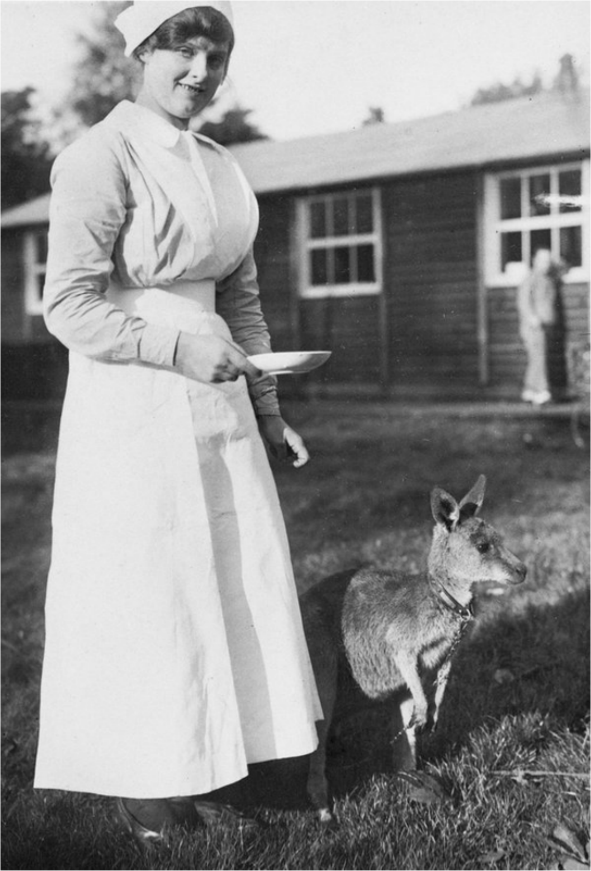 nurse and kangaroo