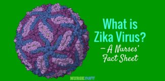 what is zika disease