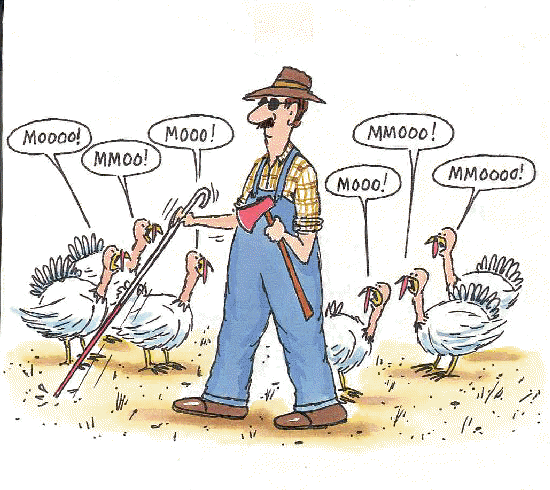 thanksgiving-funny