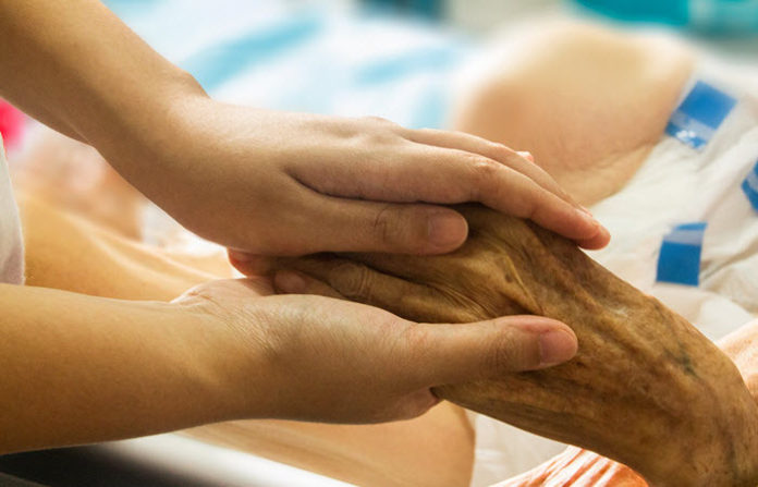 nurses role in palliative care