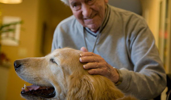 pet therapy nursing home