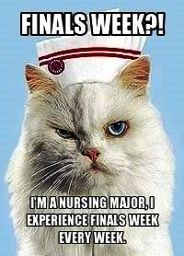 40 Funny and Relatable Nursing School Memes - NurseBuff