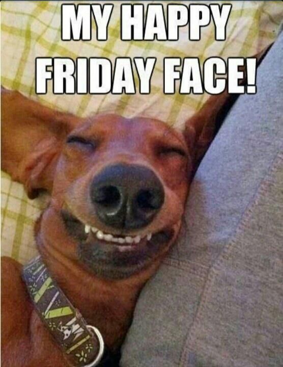 tgif friday memes face