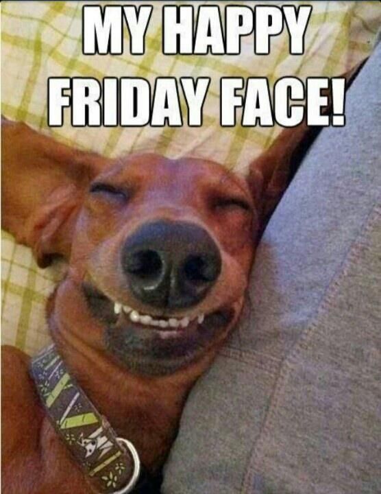 tgif friday memes face