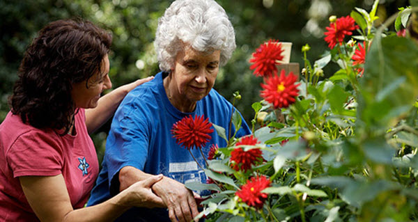 horticultural therapy social arm