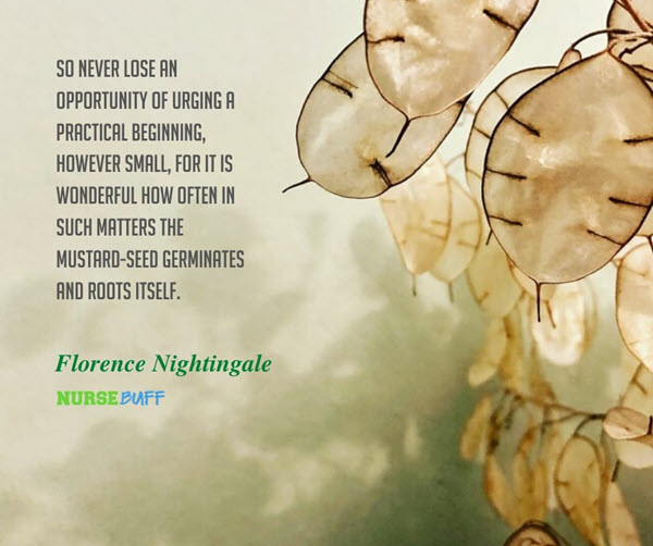 florence nightingale opportunity quotes