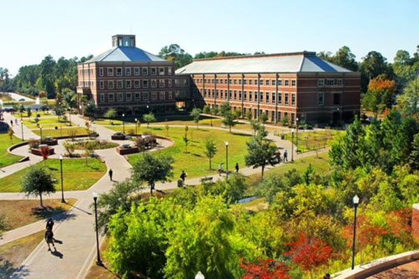 georgia southern university