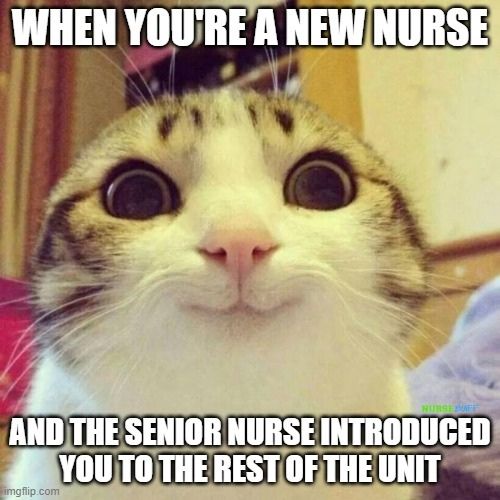 new nurse introduction meme