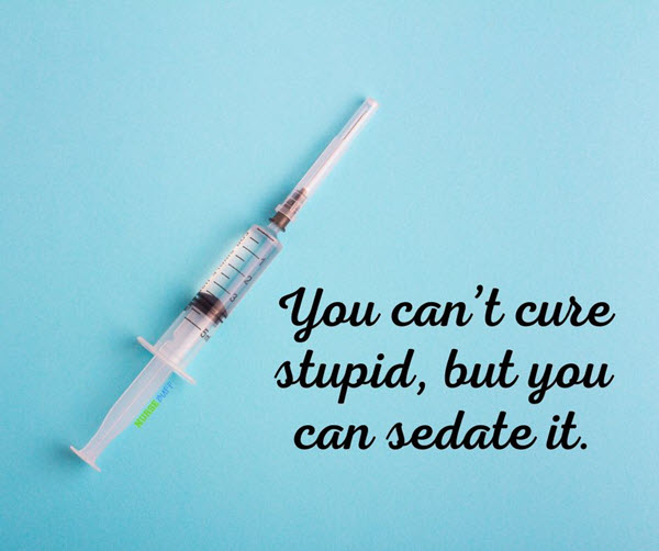 funny nurses cant cure stupid quotes
