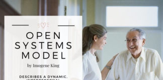 nursing models and theories