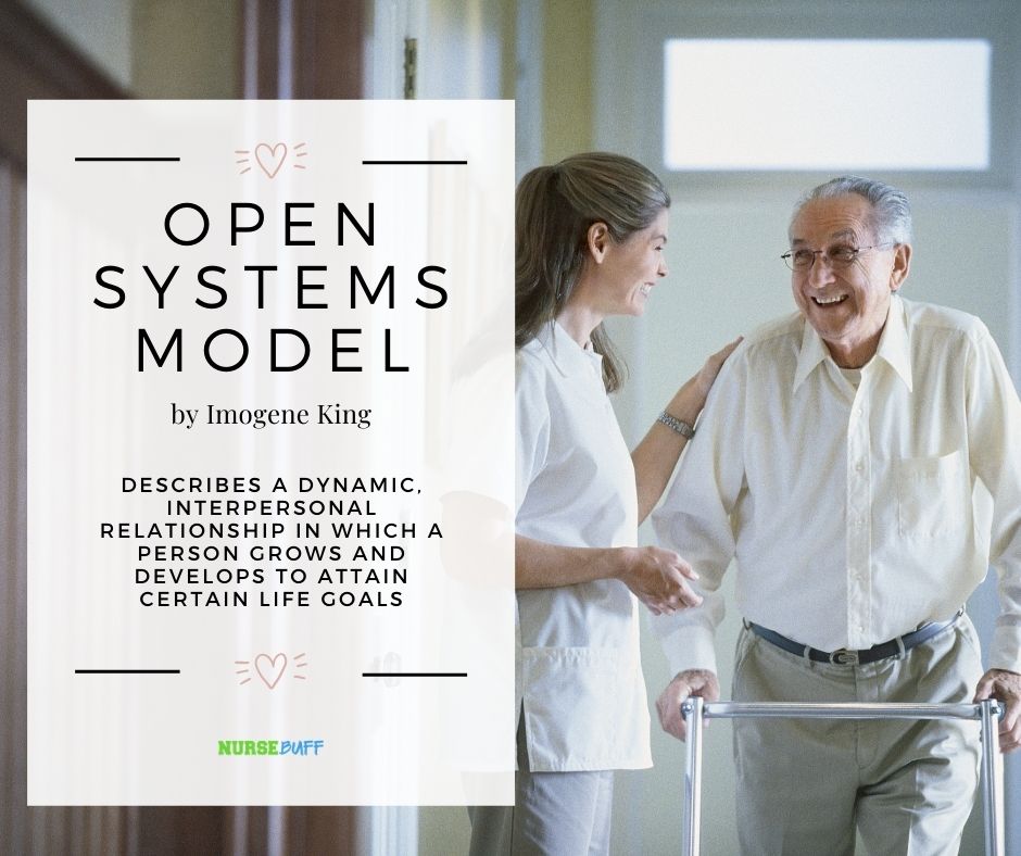 open systems model nursing theories