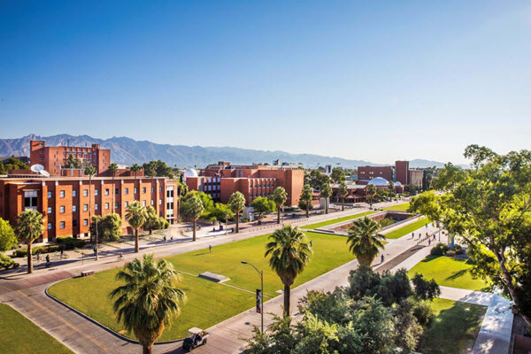 the university of arizona