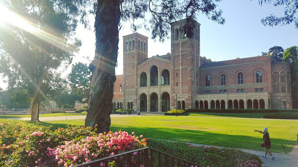 university of california los Angeles