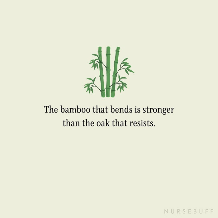 nursing bamboo bend stronger quotes