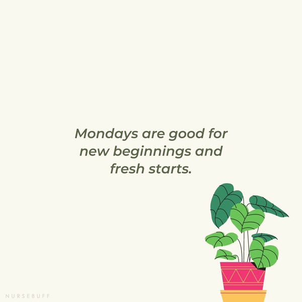 monday morning beginnings quotes