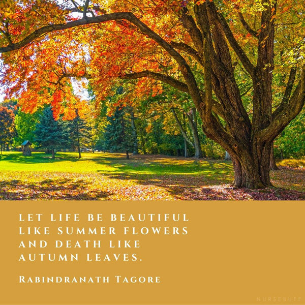 rabindranath tagore quote