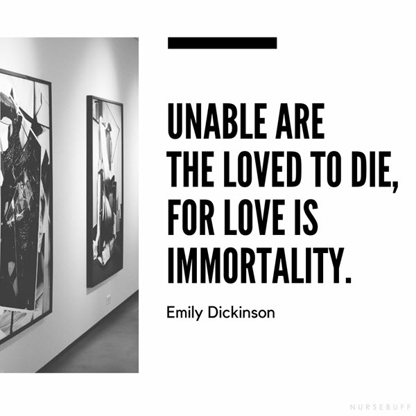 emily dickinson quote